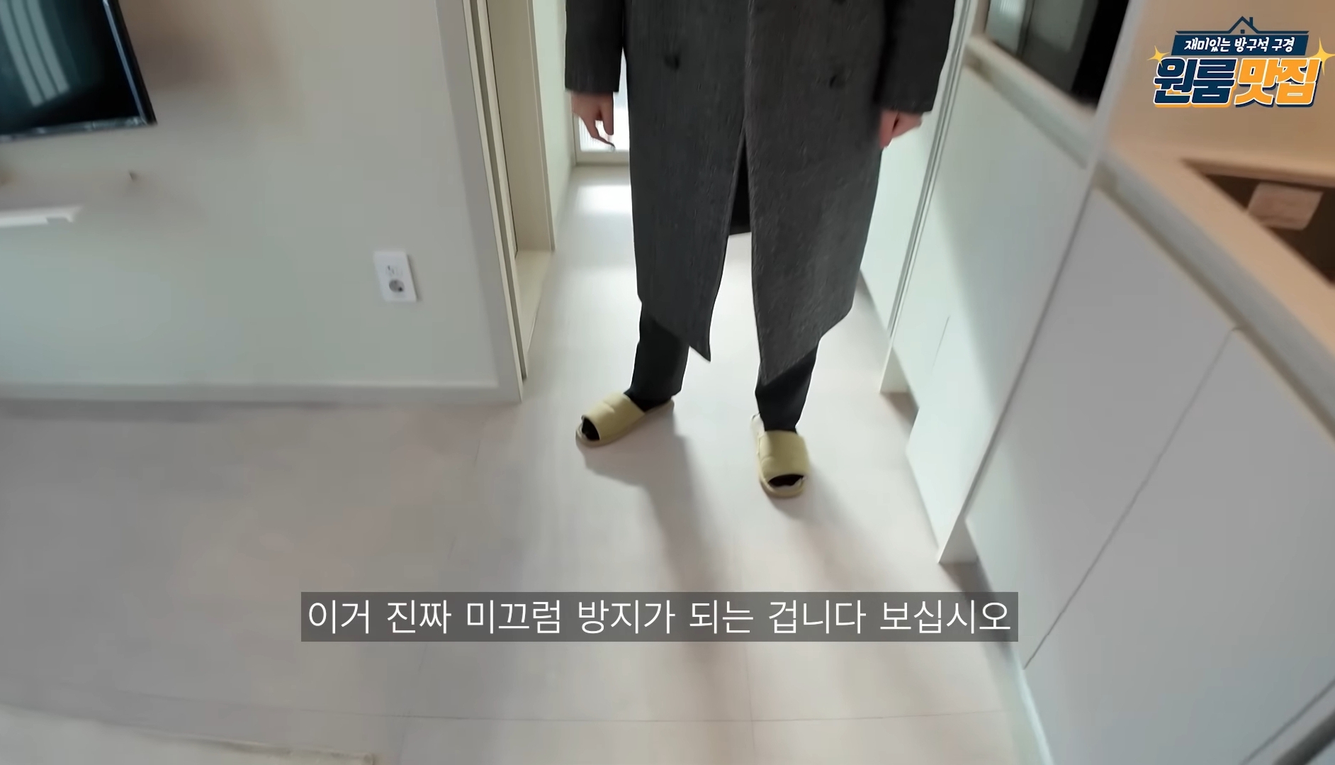 동물 안 키우면 입주 불가 반려동물을 위한 오피스텔.jpg | 인스티즈