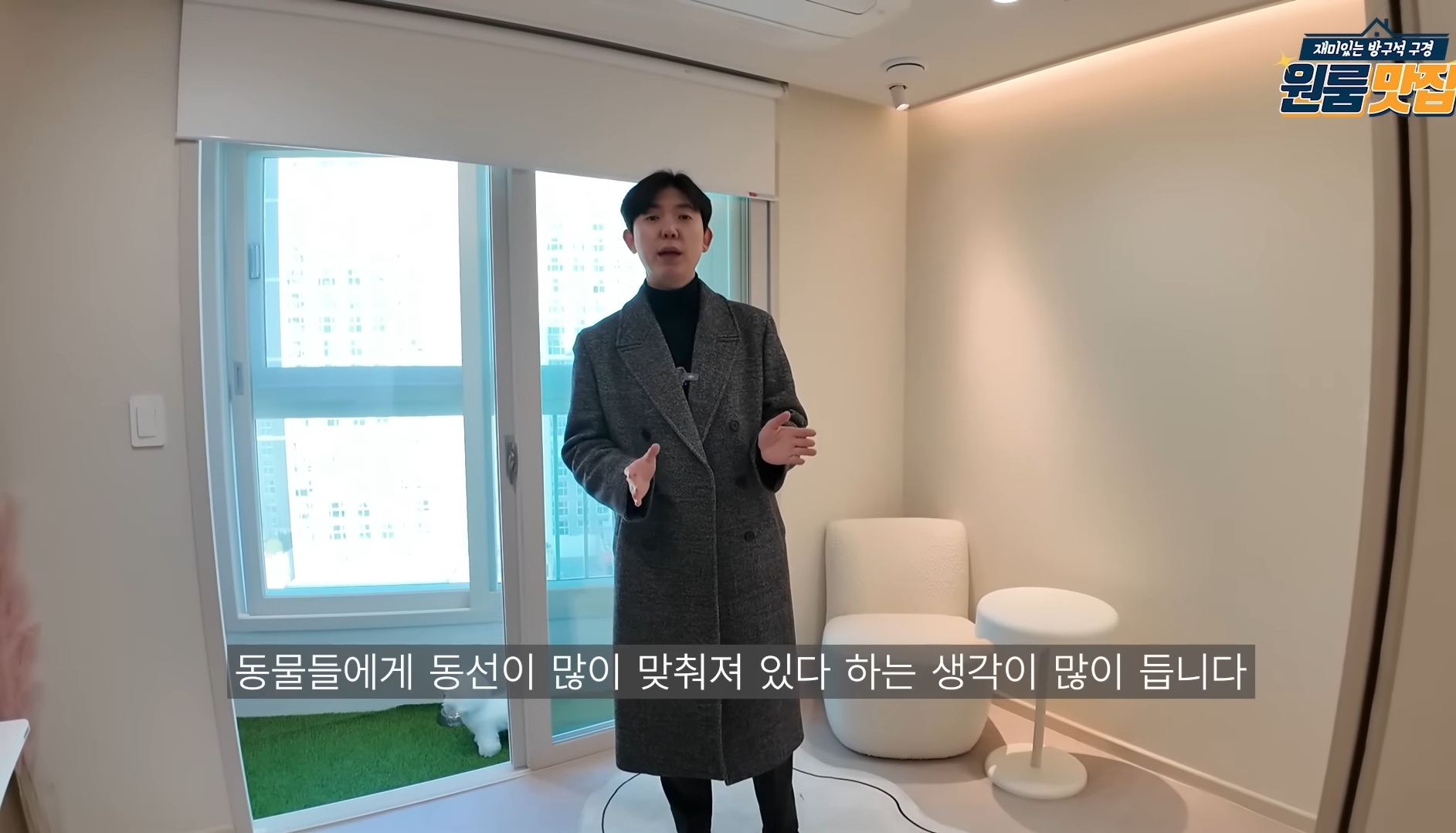 동물 안 키우면 입주 불가 반려동물을 위한 오피스텔.jpg | 인스티즈