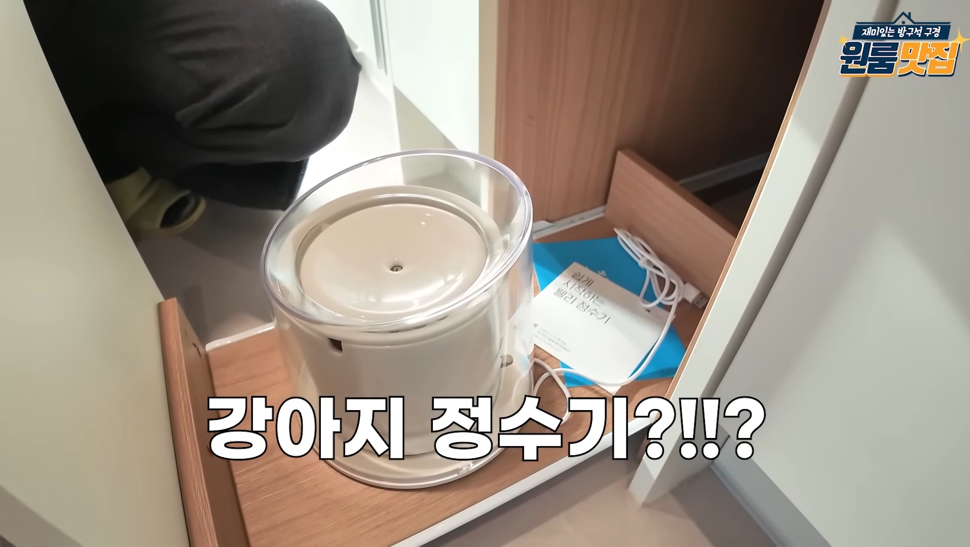 동물 안 키우면 입주 불가 반려동물을 위한 오피스텔.jpg | 인스티즈