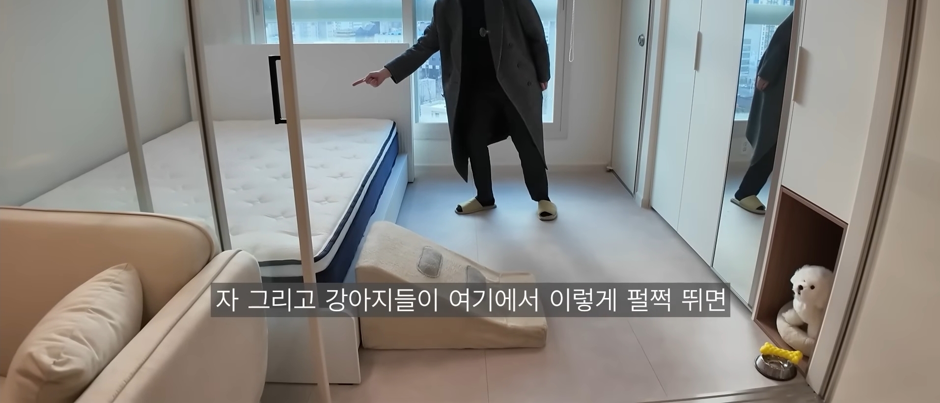 동물 안 키우면 입주 불가 반려동물을 위한 오피스텔.jpg | 인스티즈