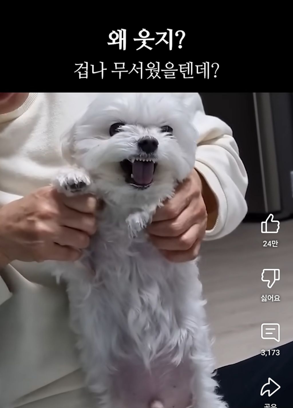 왜 웃지?.?? 겁나 무서웠을 텐데....,, | 인스티즈