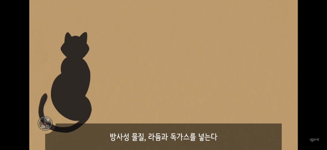 아 정말 재밌는데 한번만 봐봐 우리가 운 좋게 살아있는 과학적 이유 (개소름주의) | 인스티즈