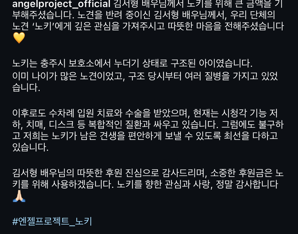 노견 '노키'를 위해 기부한 배우 김서형 | 인스티즈