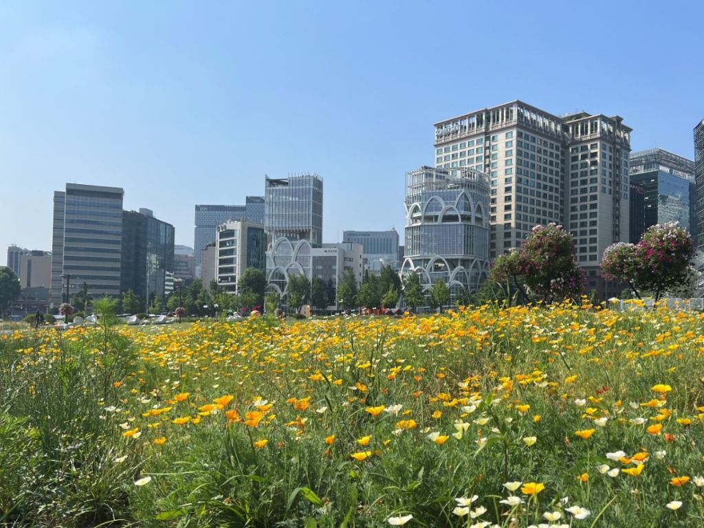 한국에서 골목, 거리가 가장 예쁜 지역 | 인스티즈
