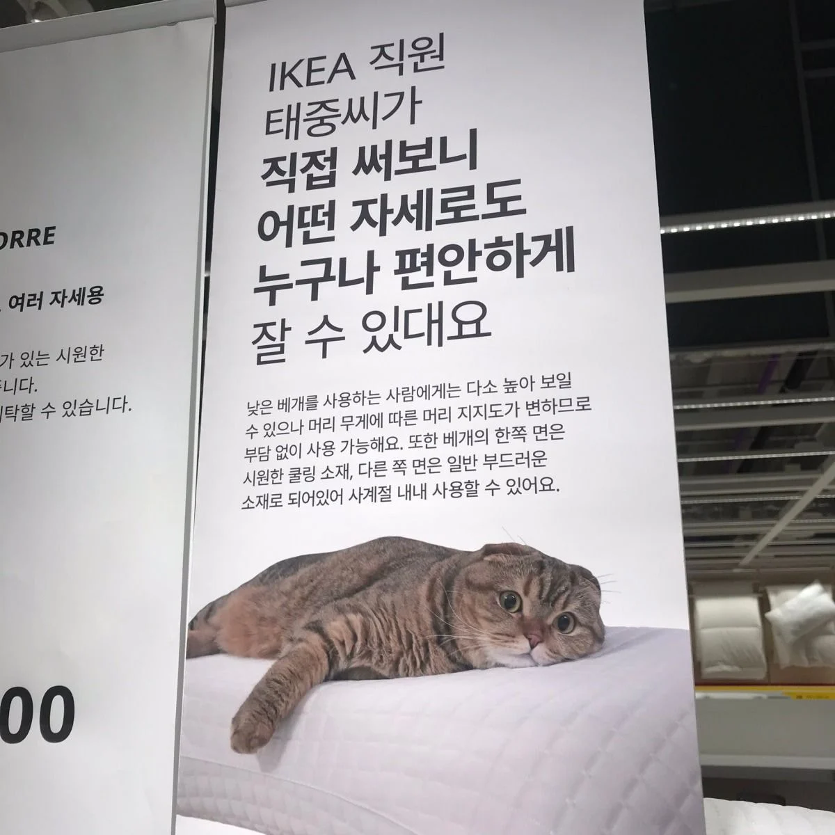  행복한 직원 태중씨