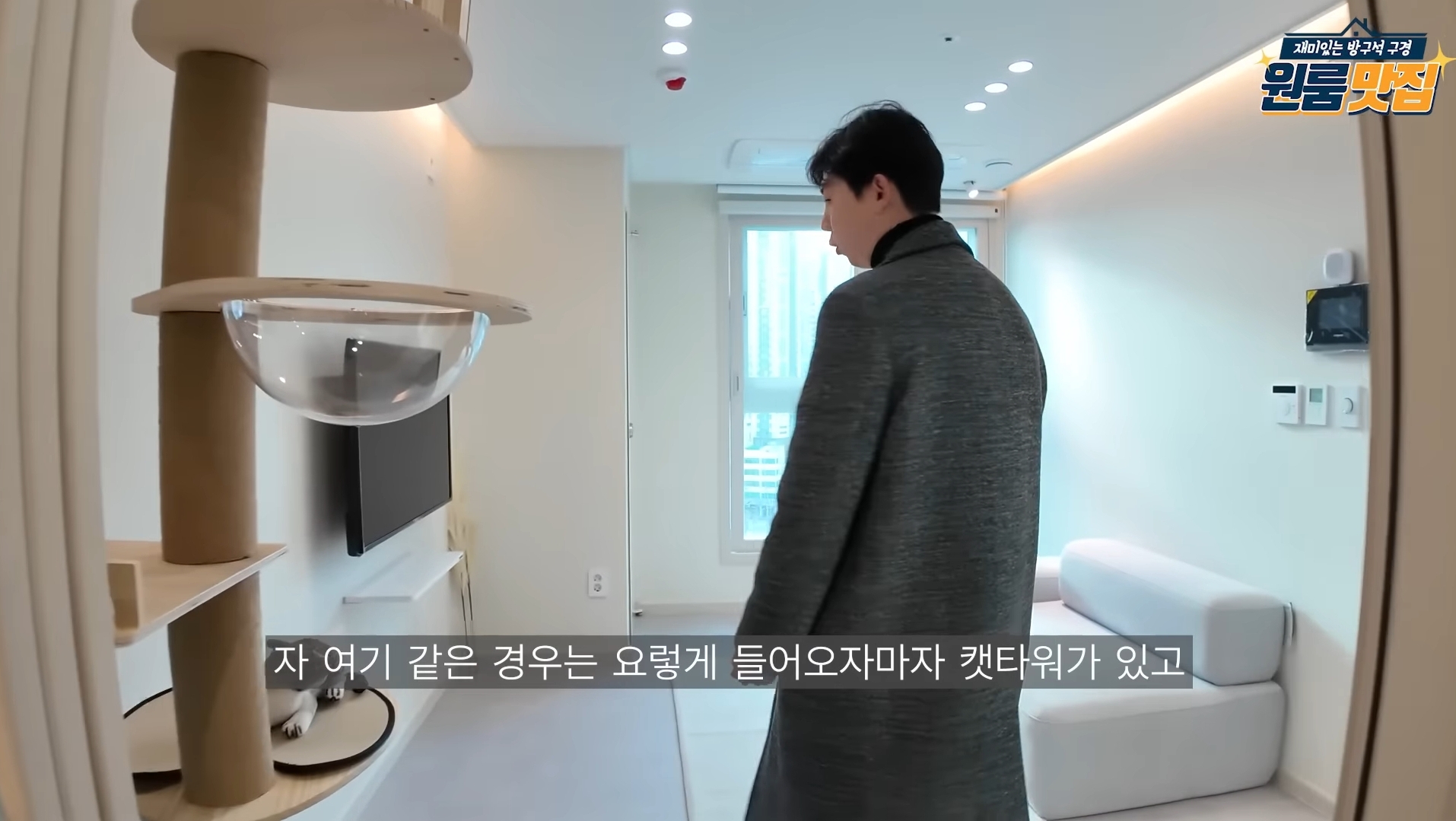 동물 안 키우면 입주 불가 반려동물을 위한 오피스텔.jpg | 인스티즈