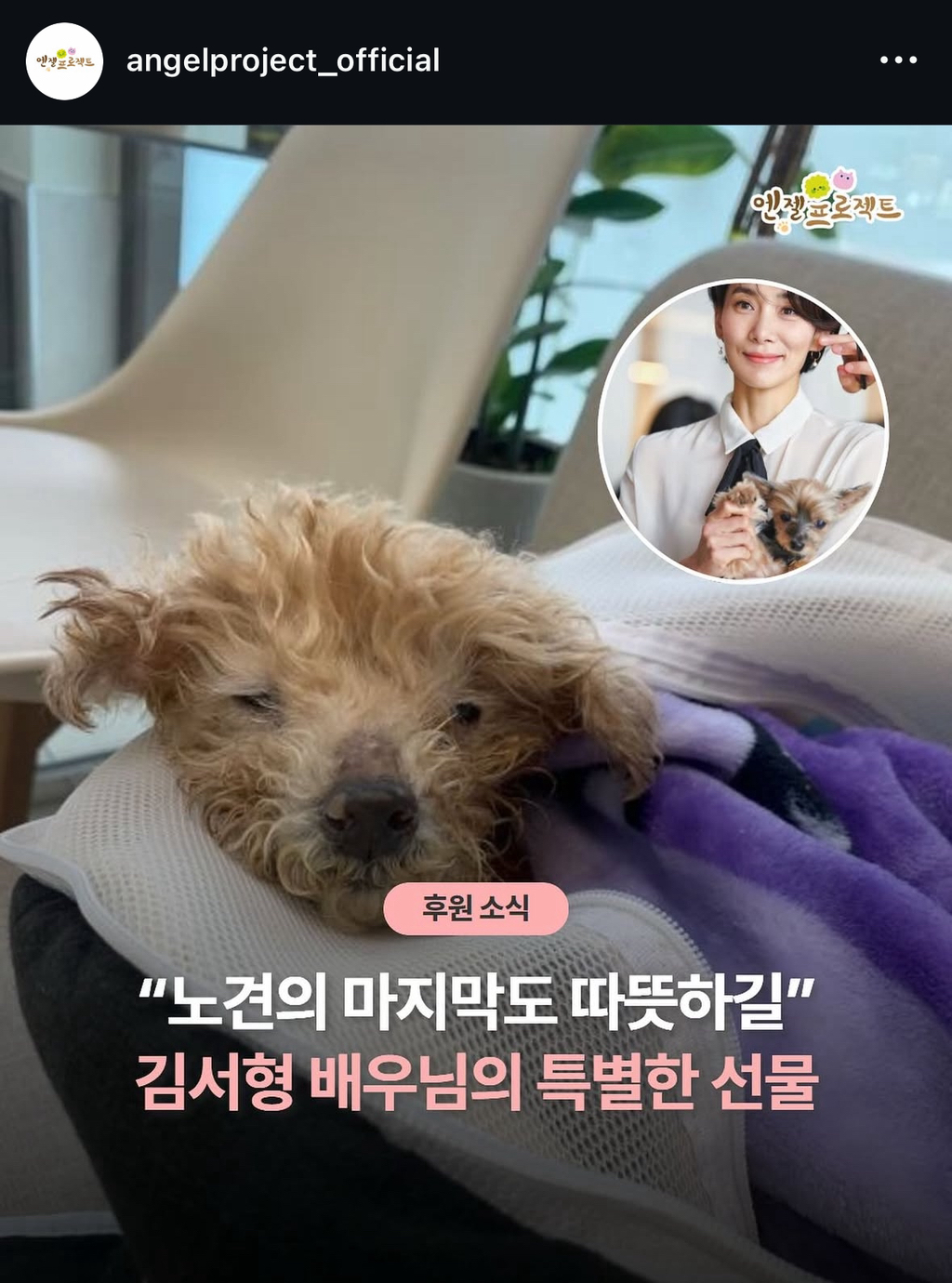  노견 &apos;노키&apos;를 위해 기부한 배우 김서형