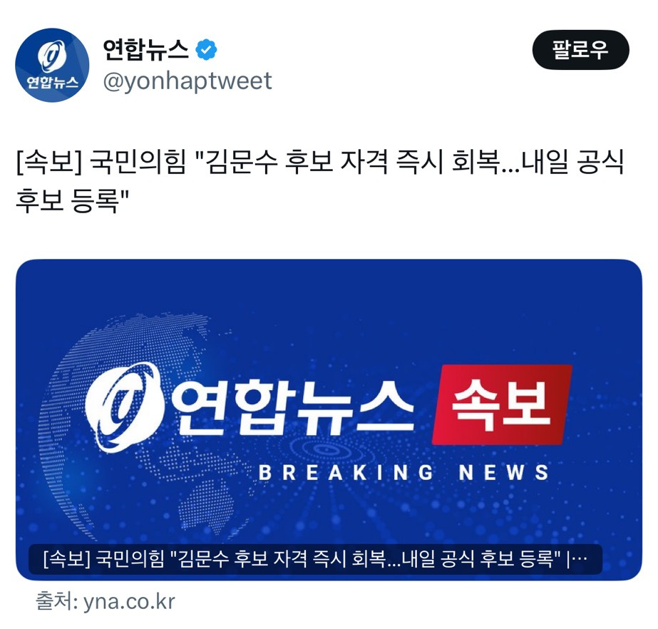 국힘 순수재미 고트임 걍 snl은 이기는듯 | 인스티즈