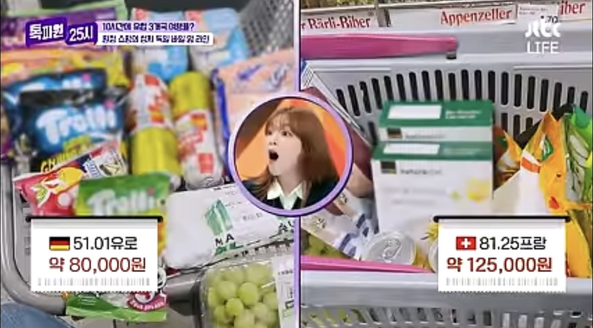 물가 저렴한 독일로 장보러 가는 스위스 사람들 | 인스티즈