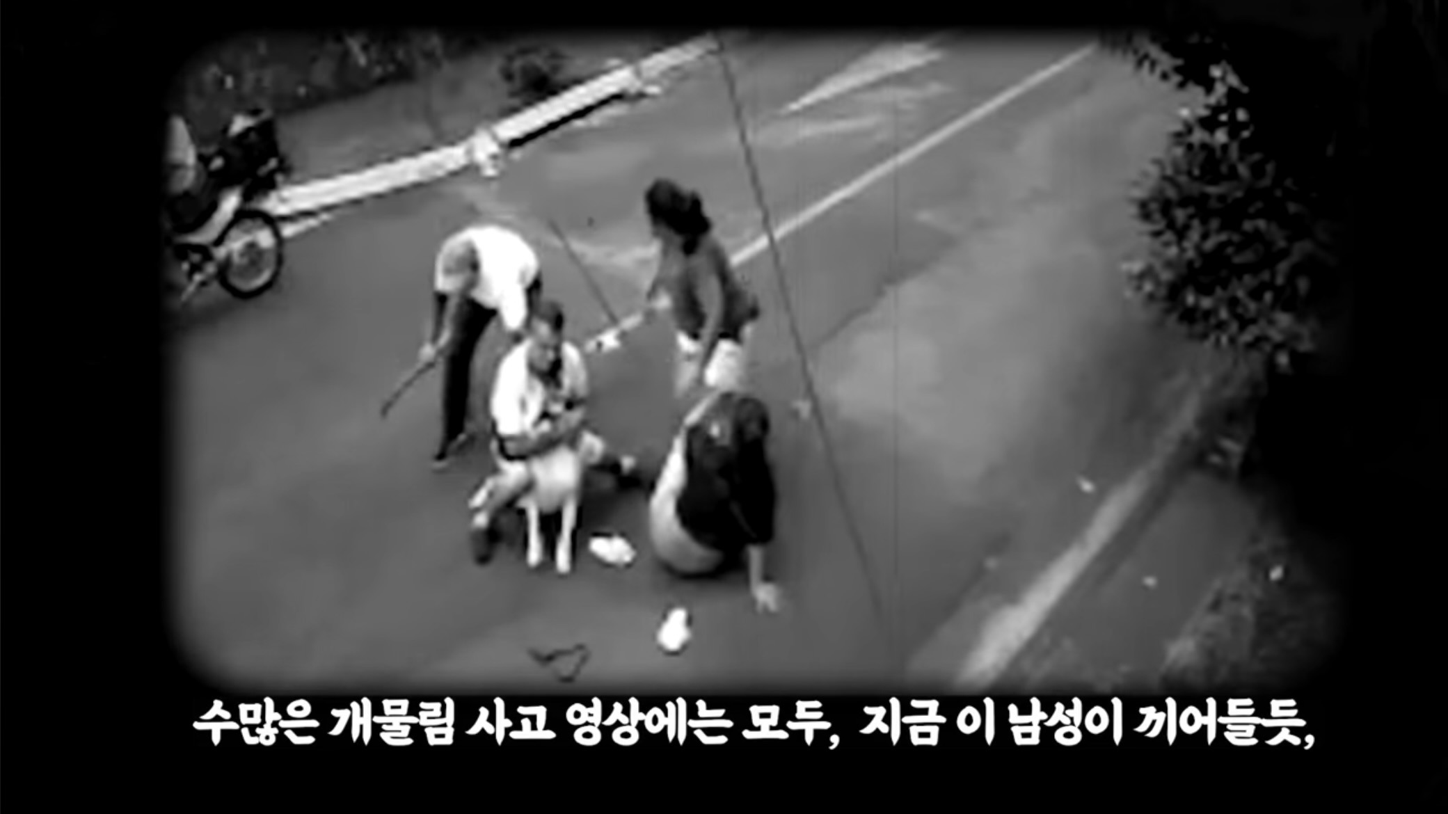 개물림 사고시 가장 효과적인 대처법이라는 백초크 | 인스티즈
