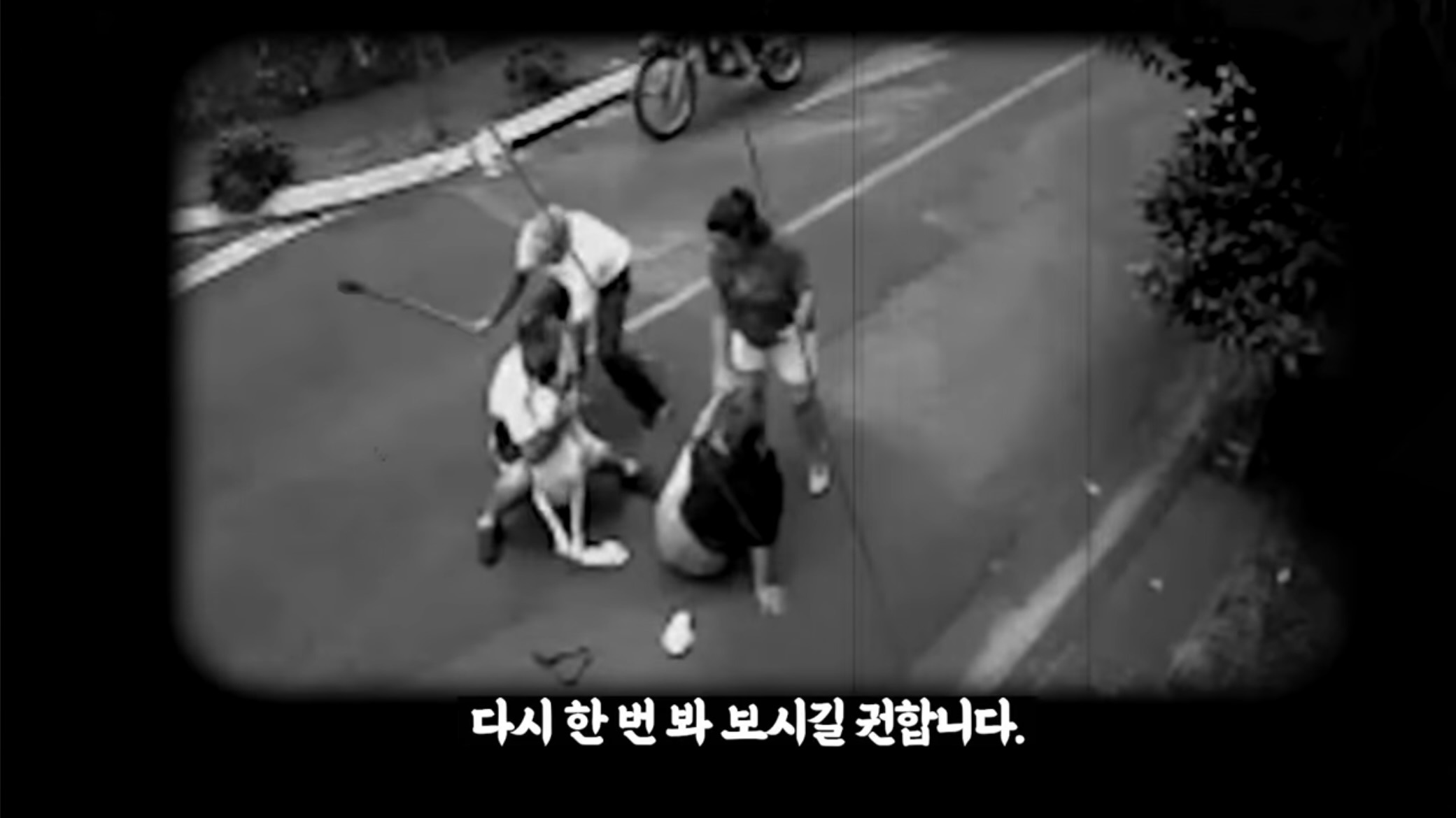개물림 사고시 가장 효과적인 대처법이라는 백초크 | 인스티즈