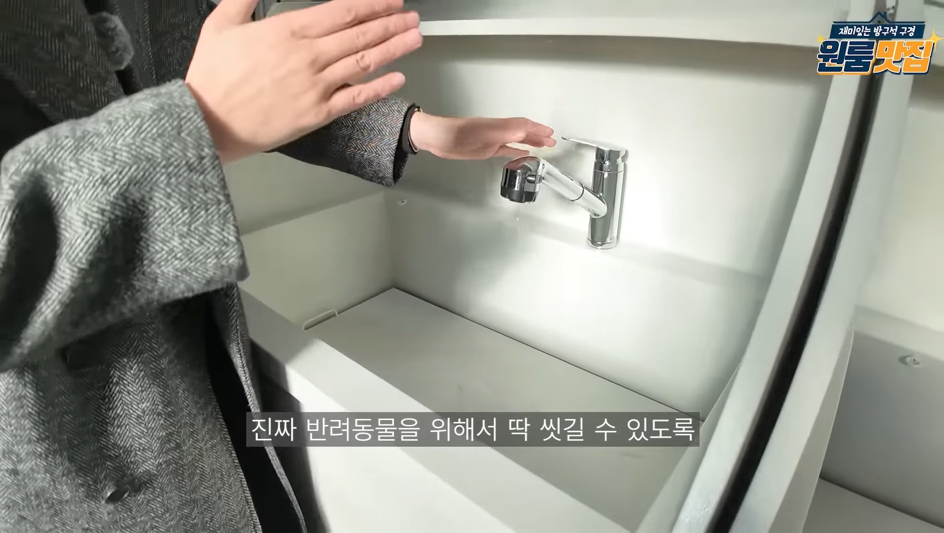 동물 안 키우면 입주 불가 반려동물을 위한 오피스텔.jpg | 인스티즈
