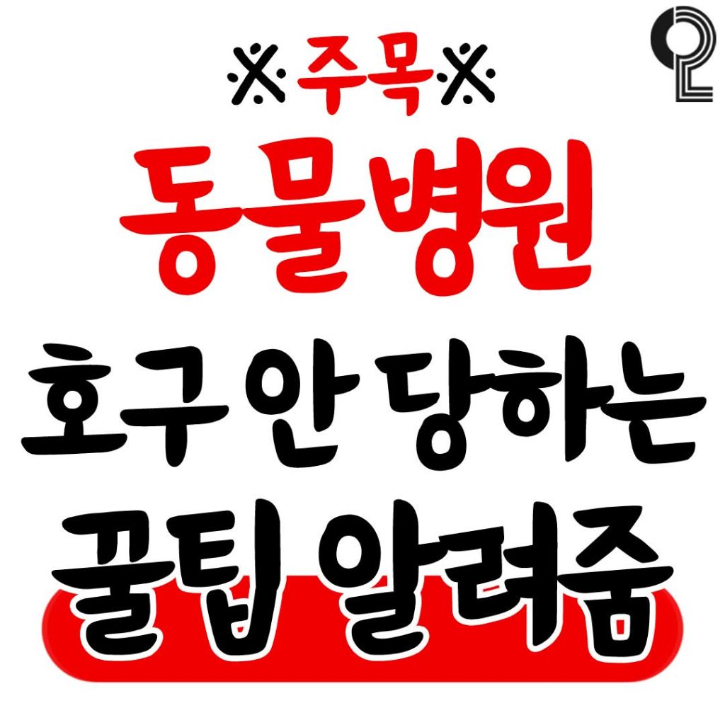 동물병원 호구 안 당하는 꿀팁