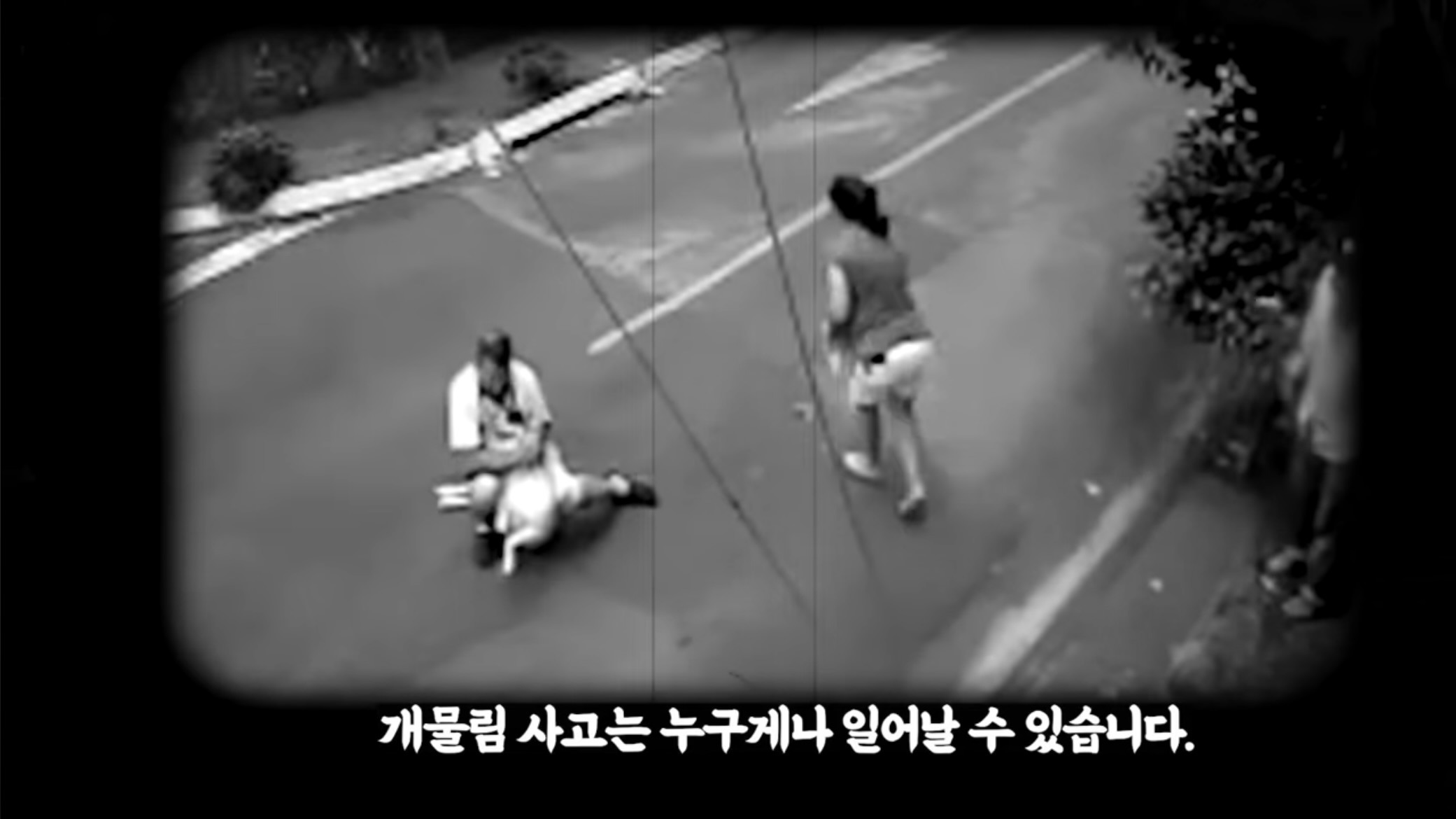 개물림 사고시 가장 효과적인 대처법이라는 백초크 | 인스티즈
