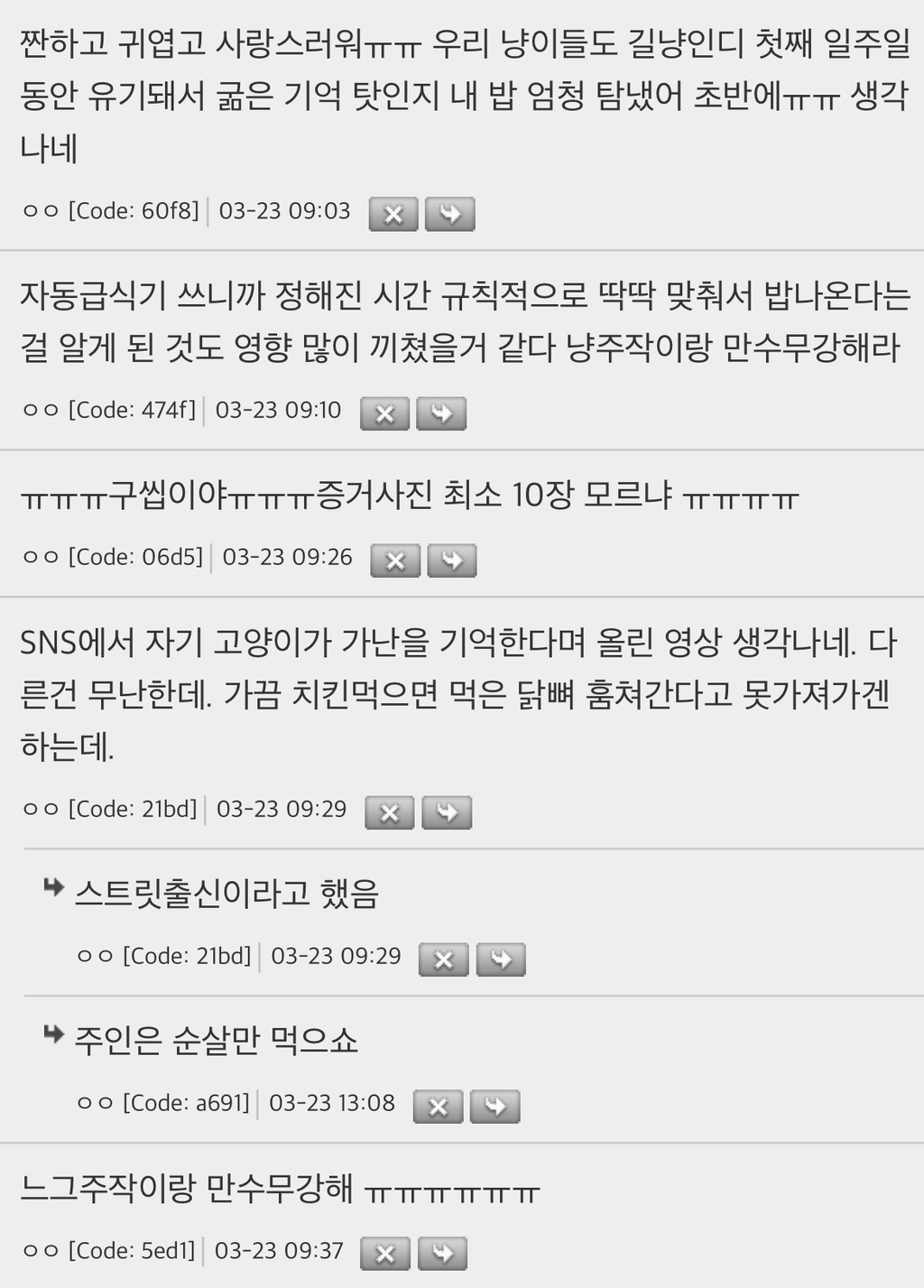 우리냥주작 길냥이출신인데 갓 데려왔을땐 진짜 사람밥에 환장했거든 | 인스티즈