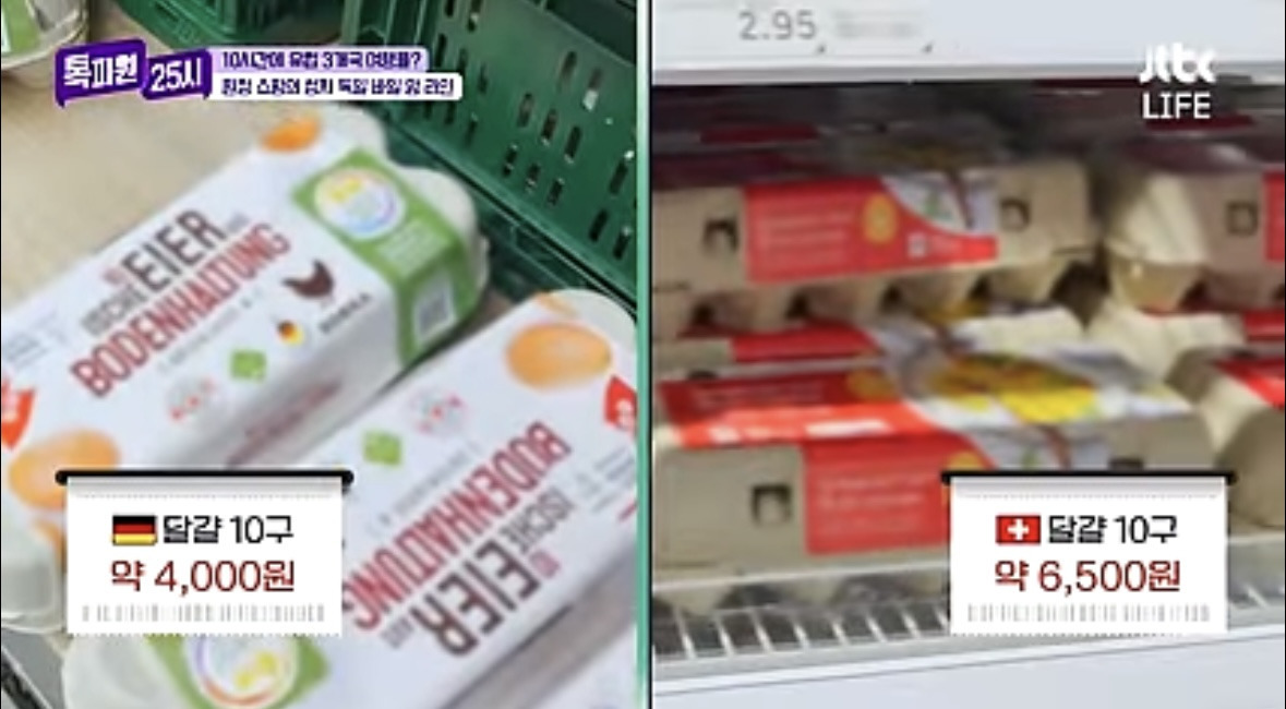 물가 저렴한 독일로 장보러 가는 스위스 사람들 | 인스티즈