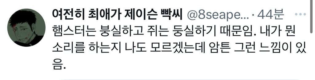 햄스터랑 쥐는 다름 | 인스티즈