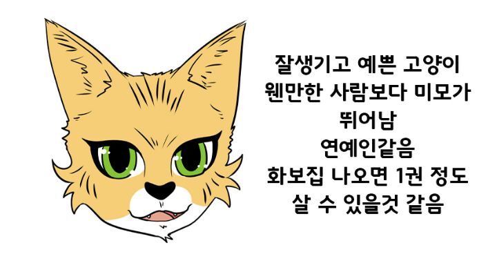 SNS 에서 보는 고양이의 4대 유형