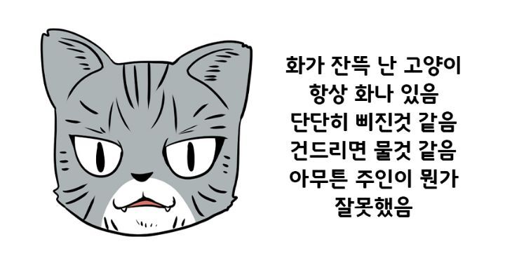 SNS 에서 보는 고양이의 4대 유형 | 인스티즈