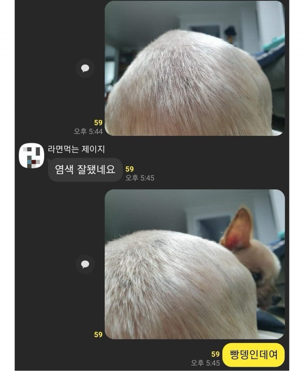  염색 잘됐네요.jpg5