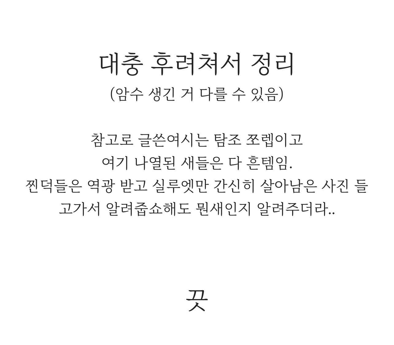 이 새 이름 뭐냐고 정말 궁금해하는 새 투탑 | 인스티즈