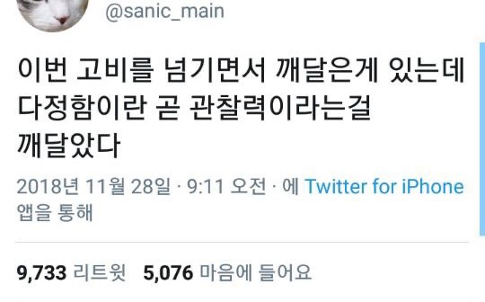 돌이켜보면,몹시 괴로울때 성장했고 모든게 편안할때 퇴보했다 | 인스티즈
