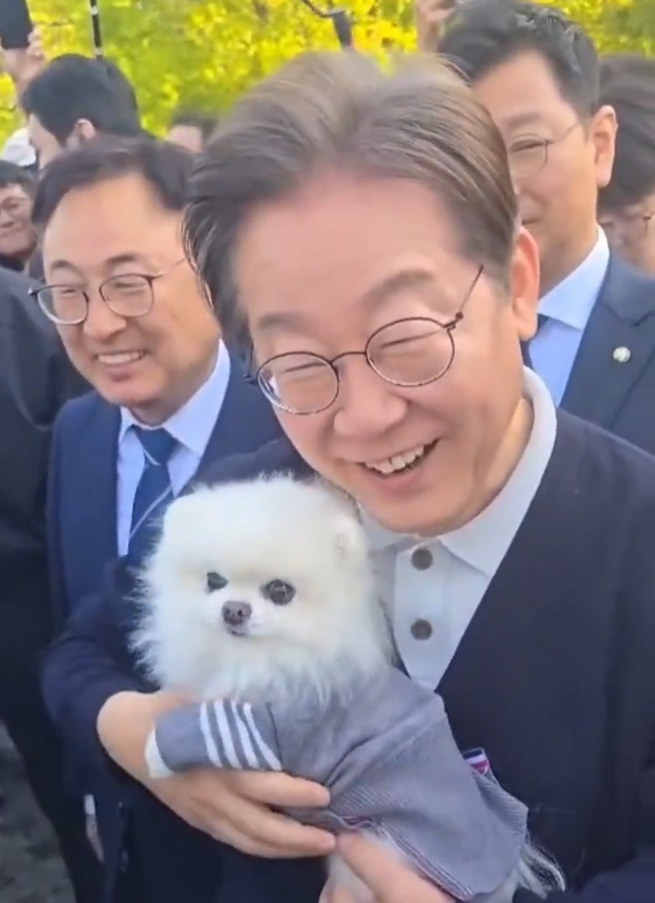 강아지 품에 안은 이재명 후보 | 인스티즈