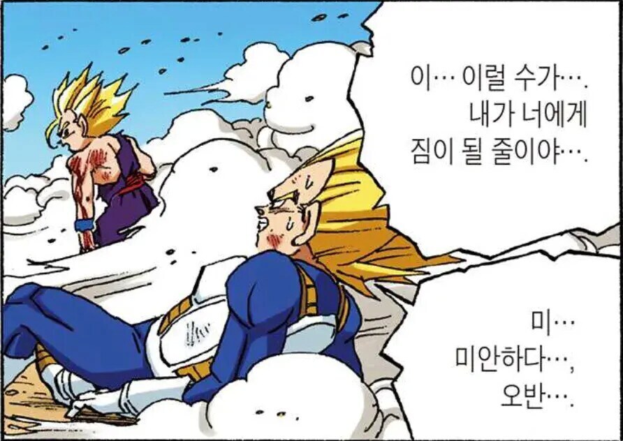 오반 바라기 베지터 | 인스티즈