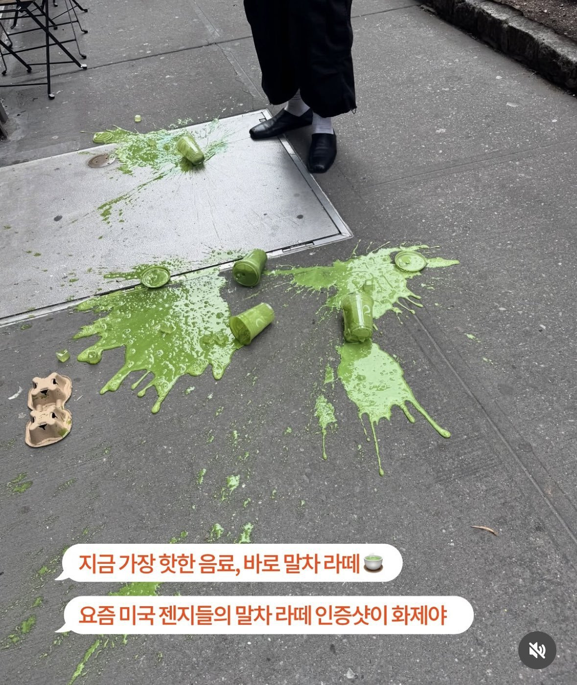  미국에서 유행중인 말차 인증샷1