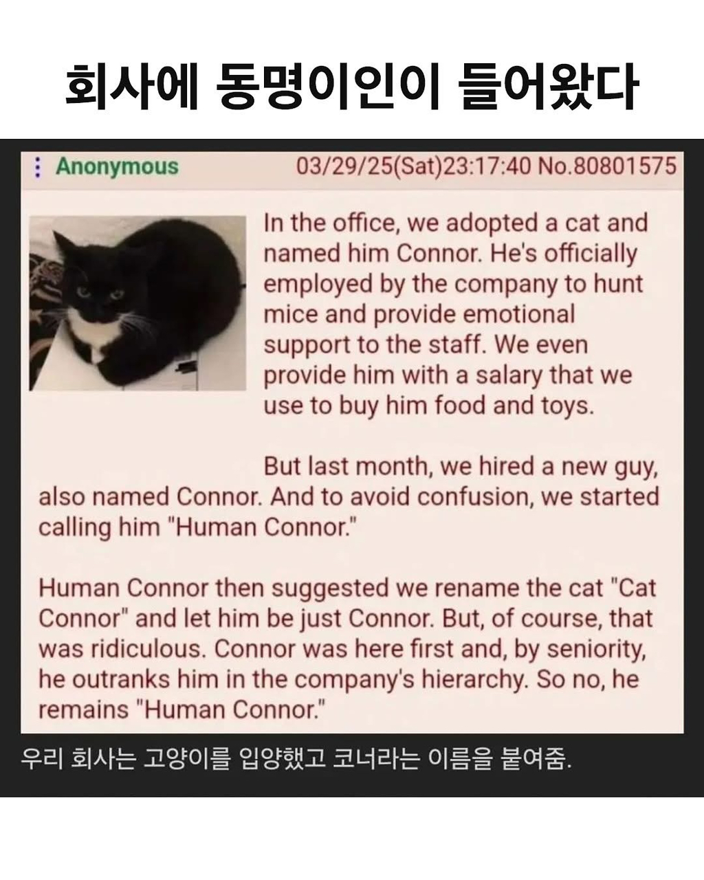  회사에 동명이인이 들어왔다