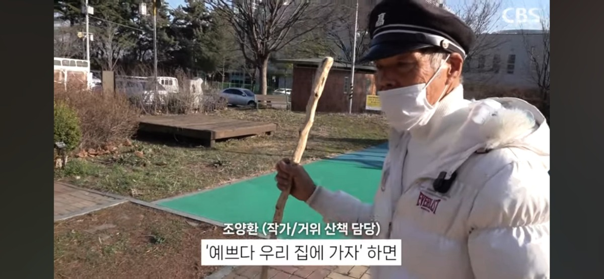 4시면 거위들과 산책하러 나온다는 전주의 거위아저씨 | 인스티즈