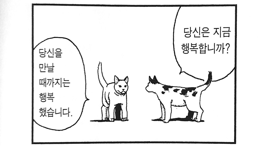  고양이 어깨