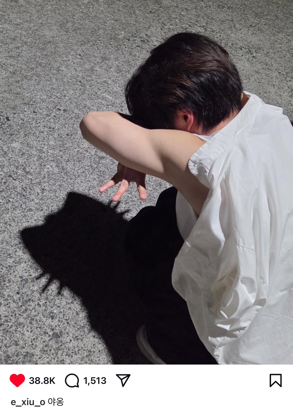 슬슬 유행 시작한듯한 그림자 고양이 사진 찍기 | 인스티즈