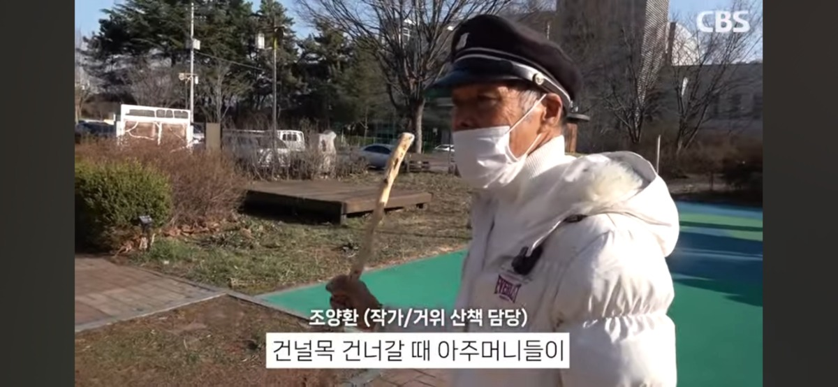 4시면 거위들과 산책하러 나온다는 전주의 거위아저씨 | 인스티즈