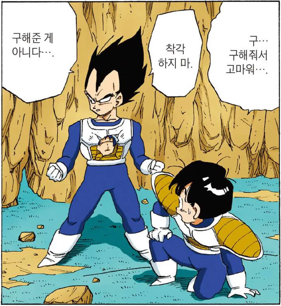  오반 바라기 베지터