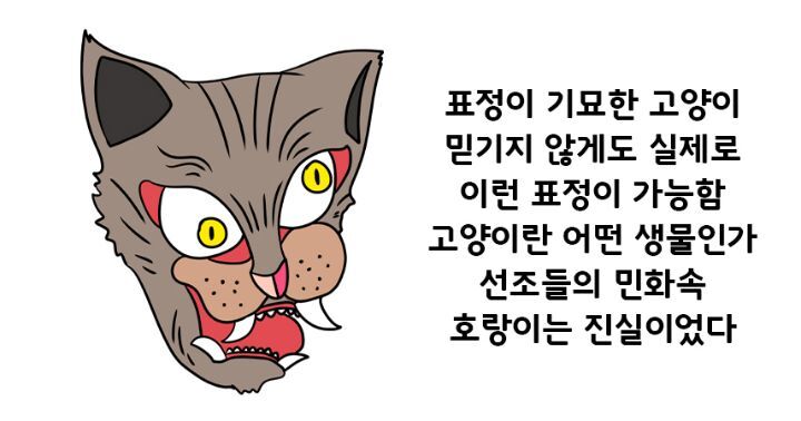 SNS 에서 보는 고양이의 4대 유형 | 인스티즈