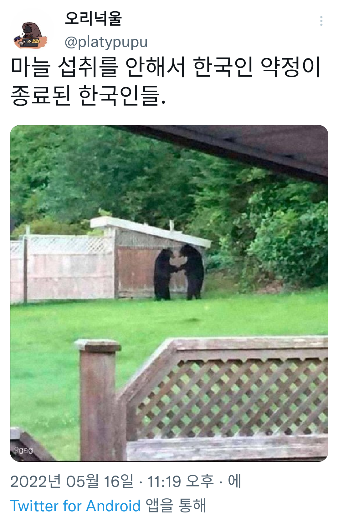  마늘 섭취를 안해서 한국인 약정이 종료된 한국인들