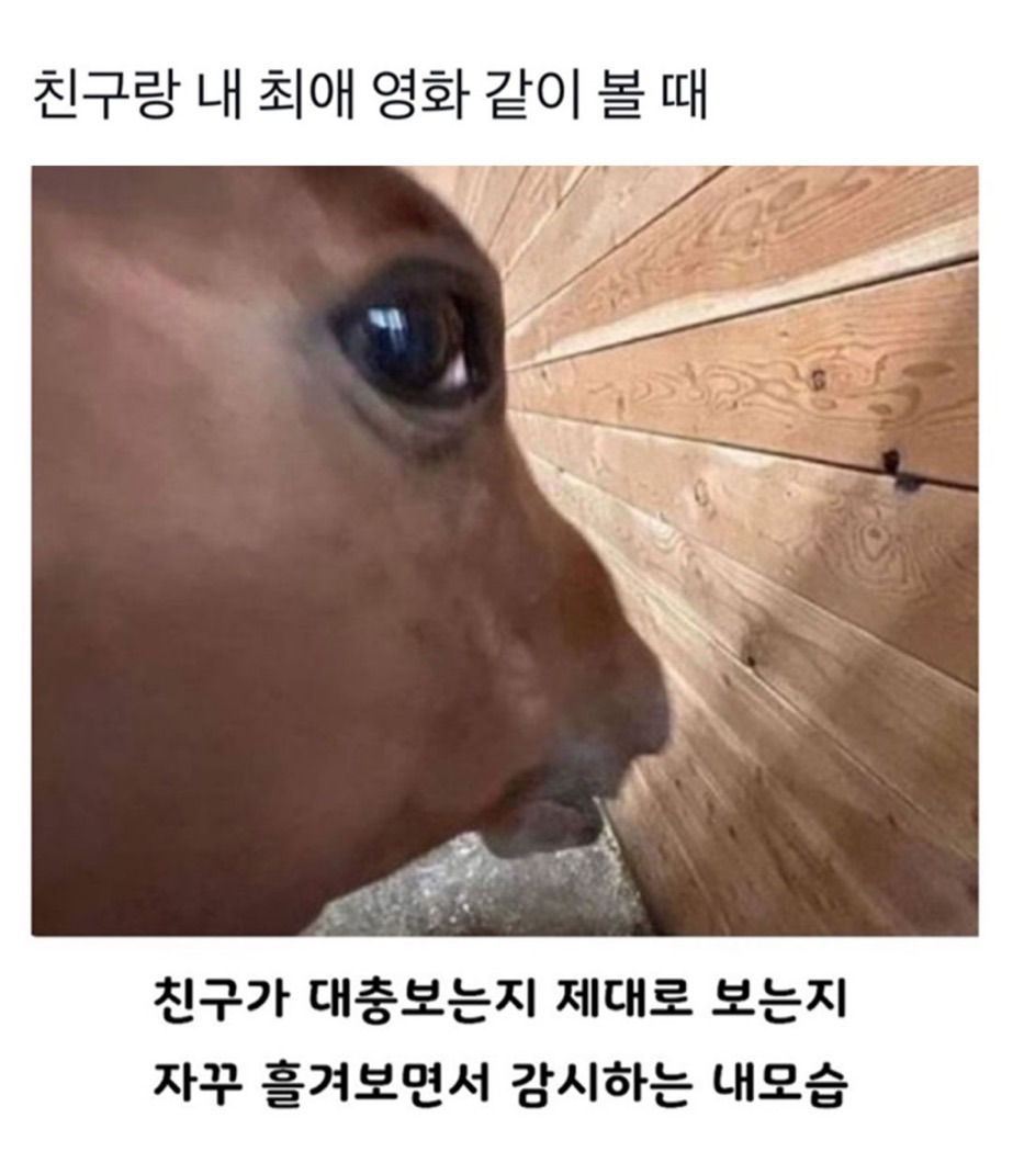  친구랑 내 최애 영화 같이 볼 때