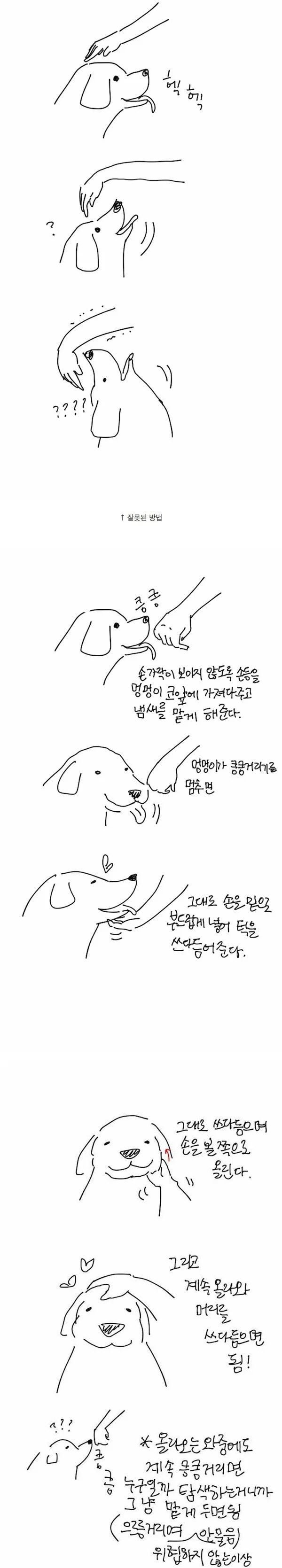  처음 보는 멍멍이를 만질때 꿀팁1