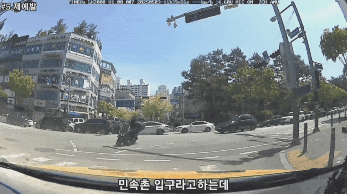  버스는 역주행해도 된다는 몽몽소리 시전하는 버스기사