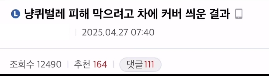 고양이 피해막으려고 차에 커버 씌운결과