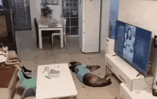  위험을 감지하는 동물의 직감.gif1