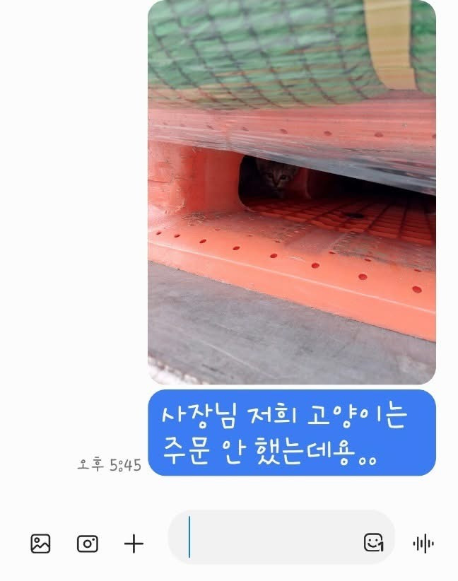  사장님 저희는 고양이 주문은 안했는데요...2