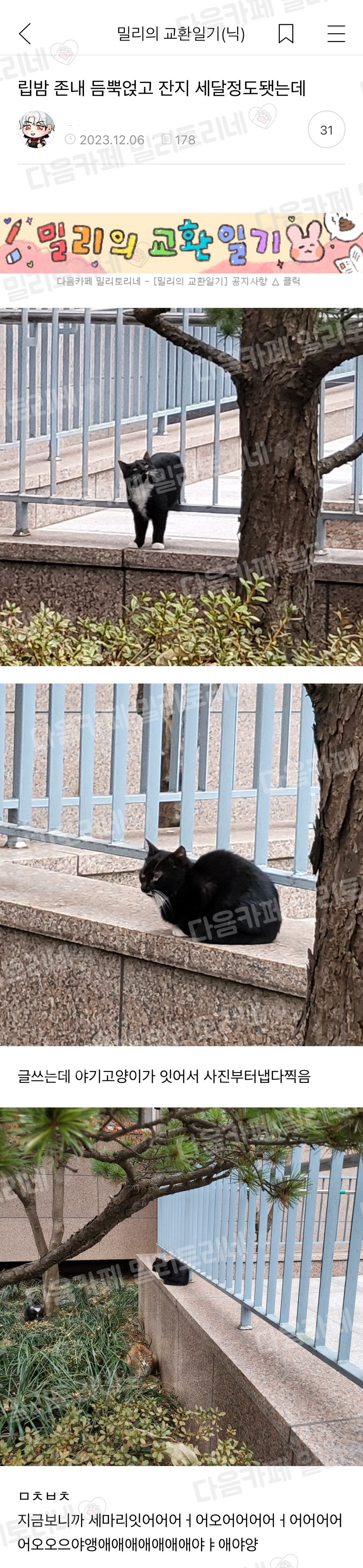 립밤 정말 듬뿍 얹고 잔 지 세달 정도 됐는데 | 인스티즈