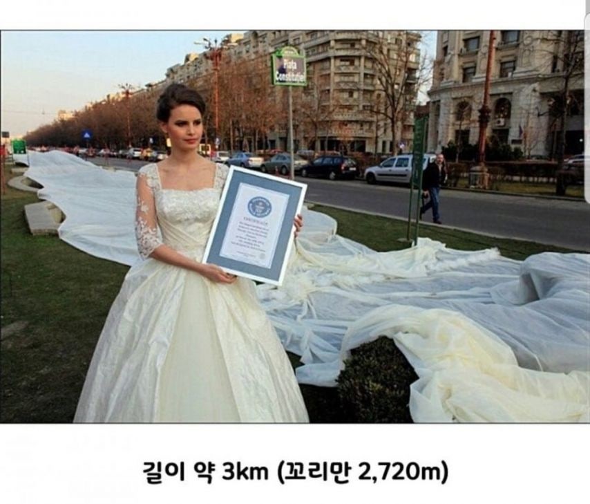 기네스북에 오른 웨딩드레스 | 인스티즈