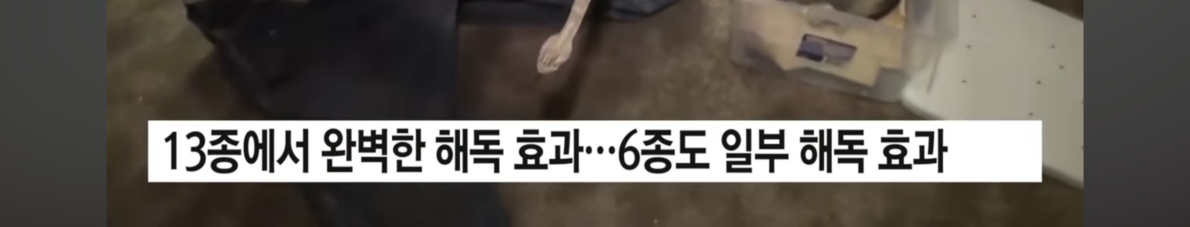 독사에 200번 물린 남성 피로 해독제 개발 | 인스티즈