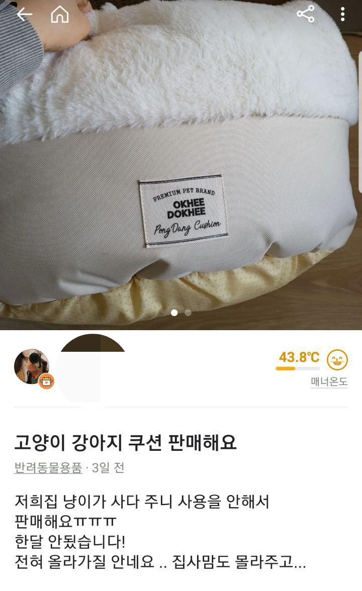 고양이 집사들 당근마켓에서 특징 | 인스티즈