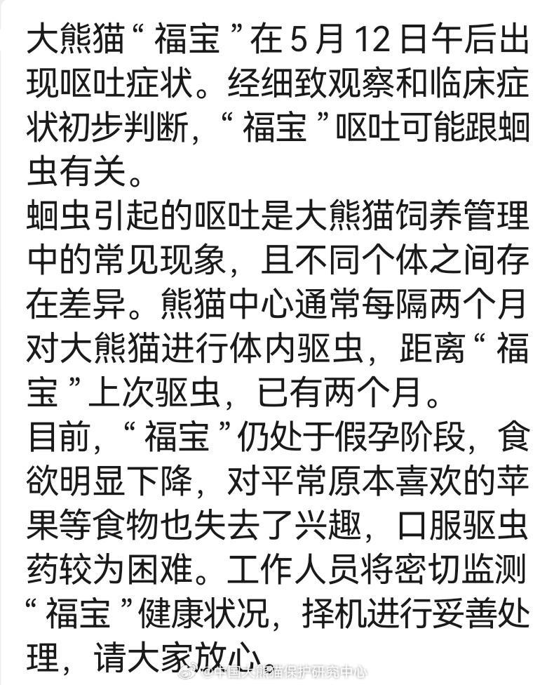  푸바오 구토 증상에 대한 센터 답변