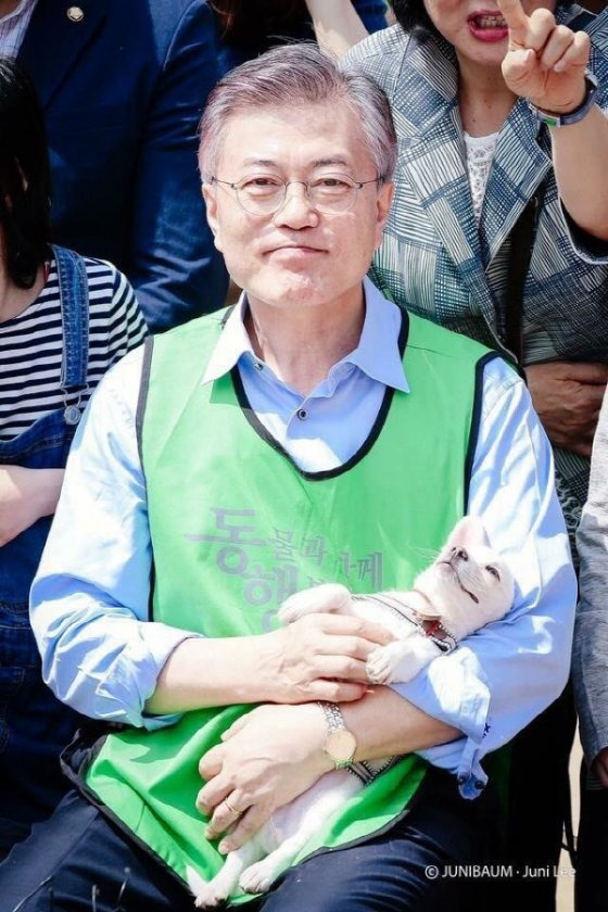  정치인 강아지 안기 정석1
