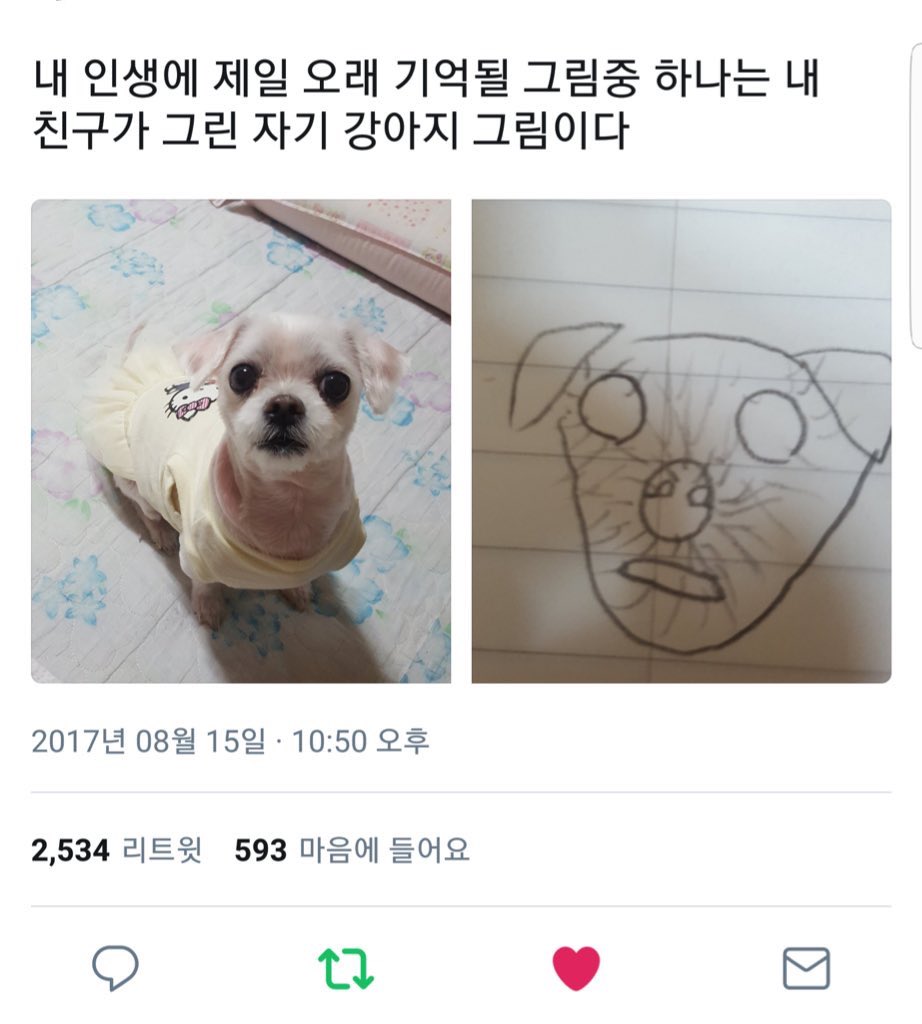 나진심 그림 정말 개처못그리는사람 너무 좋아함 아진짜개웃기네 아 너무 좋아그림에서 노력이 보인다고.twt | 인스티즈